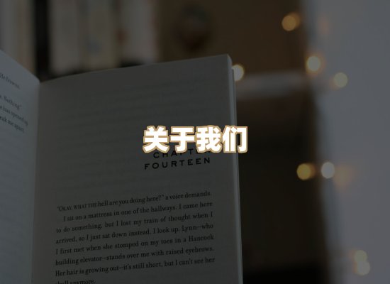 关于昭瑞电子书