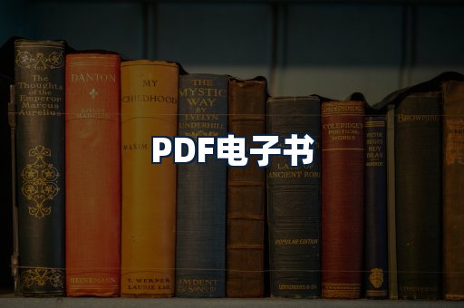 PDF电子书